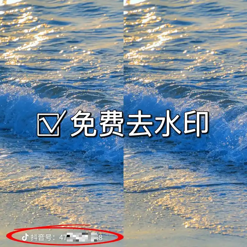 专业去水印